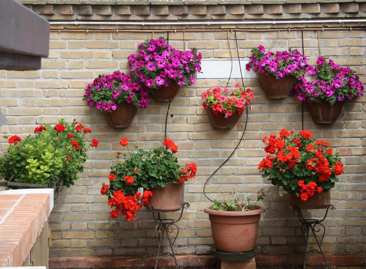 Murano Garden House Διαμέρισμα Εξωτερικό φωτογραφία